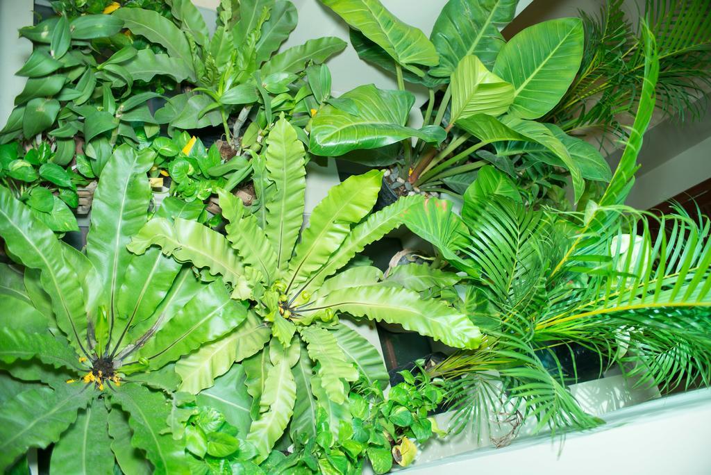 Riverview Cambodia Boutique Hotel Phnom Penh Esterno foto
